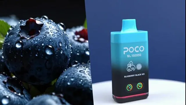 POCO SL15000 product with blueberries